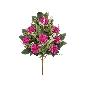 CONJUNTO CRISANTEMO X12-56 CM FUCSIA