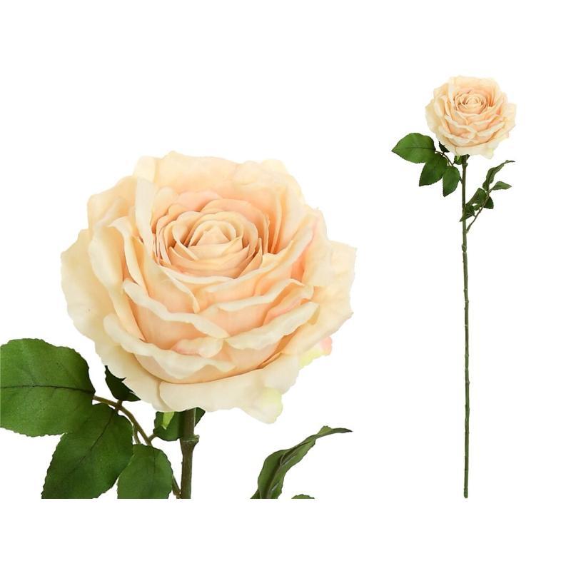 VARA ROSA CAROLINA (A) 67 CM BEIGE