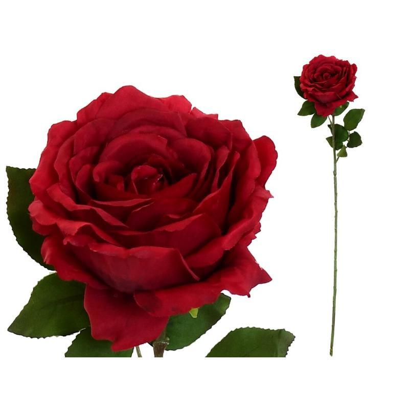 VARA ROSA CAROLINA (A) 67 CM ROJO
