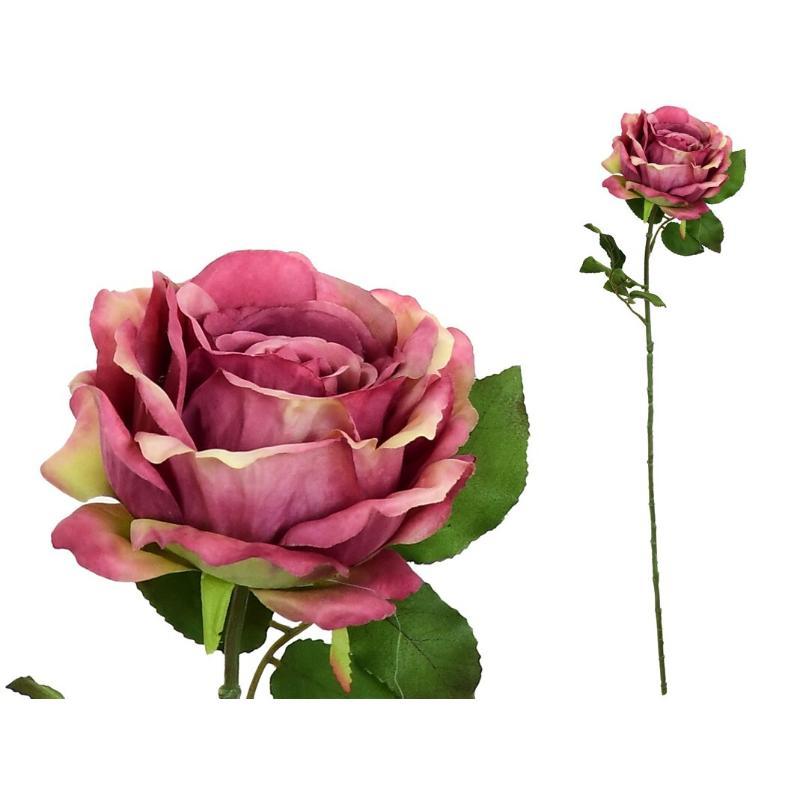 VARA ROSA CAROLINA (A) 67 CM FUCSIA