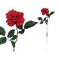 VARA ROSITA CLASIC 64 CM ROJO