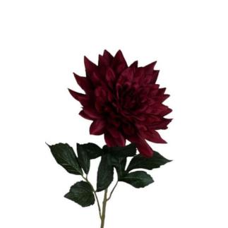 V.DALIA GRANDE ROJO