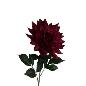 V.DALIA GRANDE ROJO