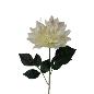 V.DALIA GRANDE BLANCO