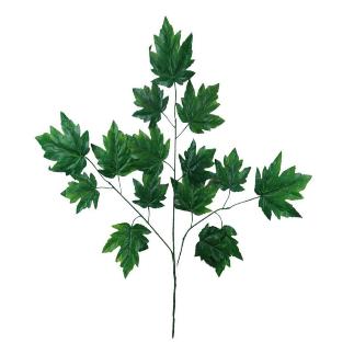PAQ.12 VARAS DE PARRA VERDE
