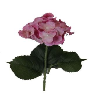 V.HORTENSIA EN 3D ROSA