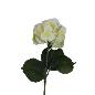 V.HORTENSIA EN 3D BLANCO