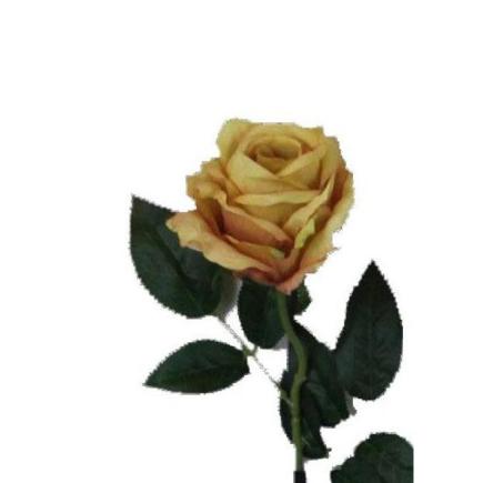 VARA ROSA OTOÑAL NARANJA