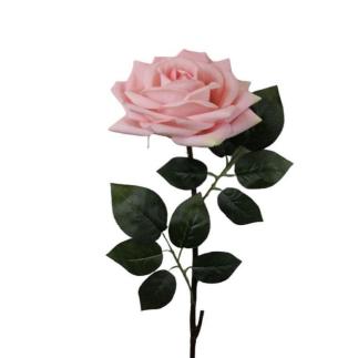 V.ROSA GIGANTE 105 CM MELOCOTON