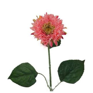 GERBERA MICROP 82 CT MELOCOTON