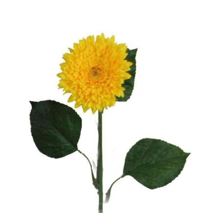 GERBERA MICROP 82 CT AMARILLO