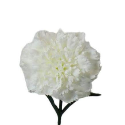 V.CLAVEL MICROPEACH BLANCO