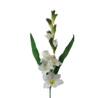 VARA GLADIOLO SATIN BLANCO