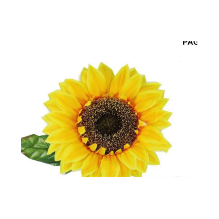 VARA GIRASOL GRANDE AMARILLO