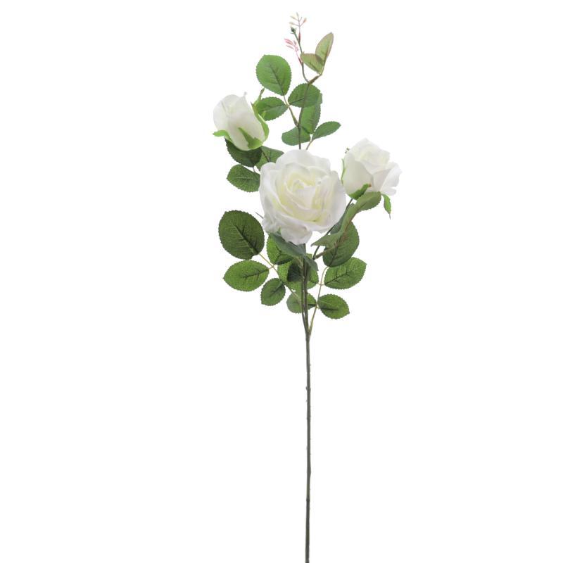 ROSA X3 AVALANCHE CREMA