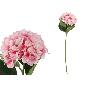 VARA HORTENSIA QUEEN 70 CM FUXIA