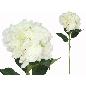VARA HORTENSIA BIG-77 CM BLANCO