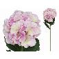 VARA HORTENSIA BIG-77 CM. MALVA