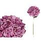 VARA HORTENSIA SOFT-62 CM. VIOLETA
