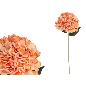 VARA HORTENSIA SOFT-62 CM TE