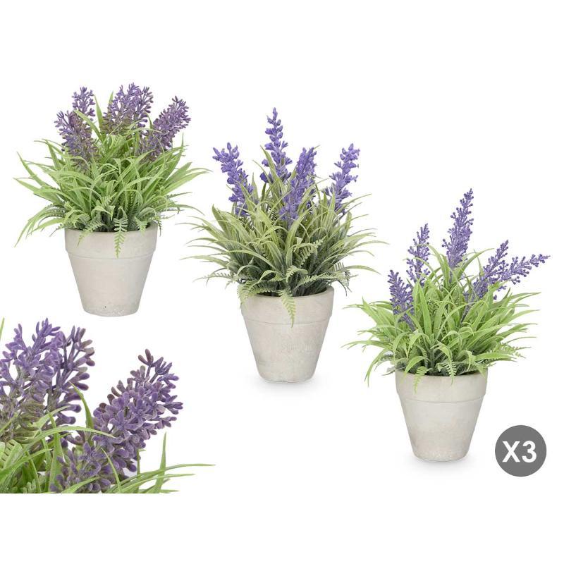 MACETA CEMENTO LAVANDA SURTIDO