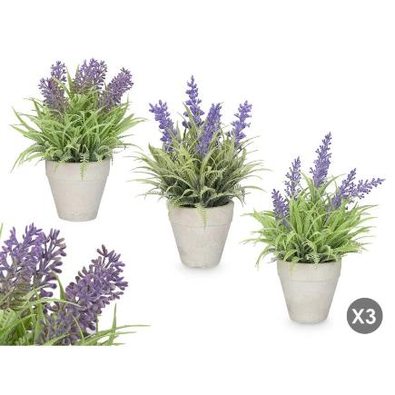 MACETA CEMENTO LAVANDA SURTIDO