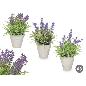 MACETA CEMENTO LAVANDA SURTIDO