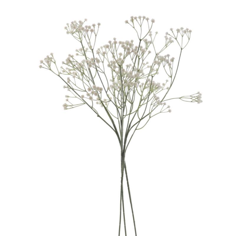 GUISOPHILA X3 BLANCO