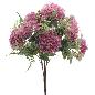 RAMO VIBURNUM FUCSIA