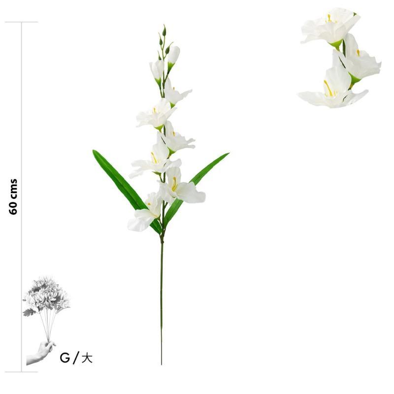 VARA DE GLADIOLOS 60 CM BLANCO