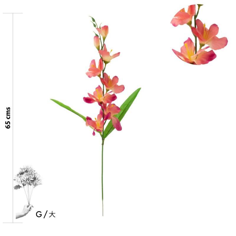VARA DE GLADIOLOS 60 CM FUXIA