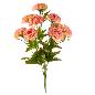 RAMO CLAVELES 9 TALLOS 46 CM OTOÑO FUCSIA