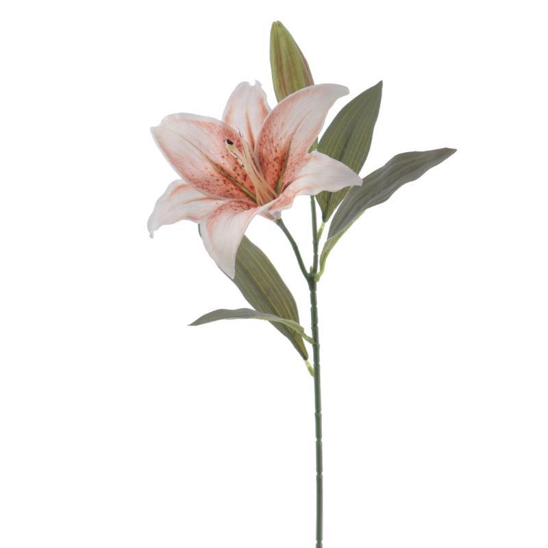 LILIUM MARMOL