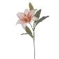 LILIUM MARMOL