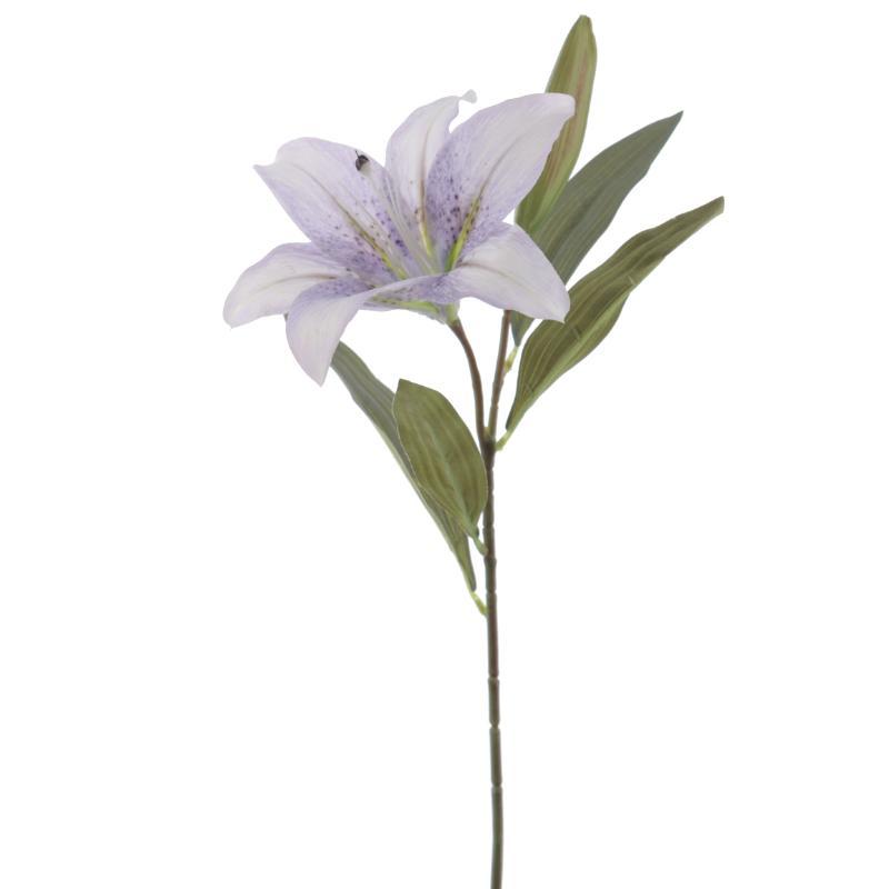 LILIUM TURQUESA