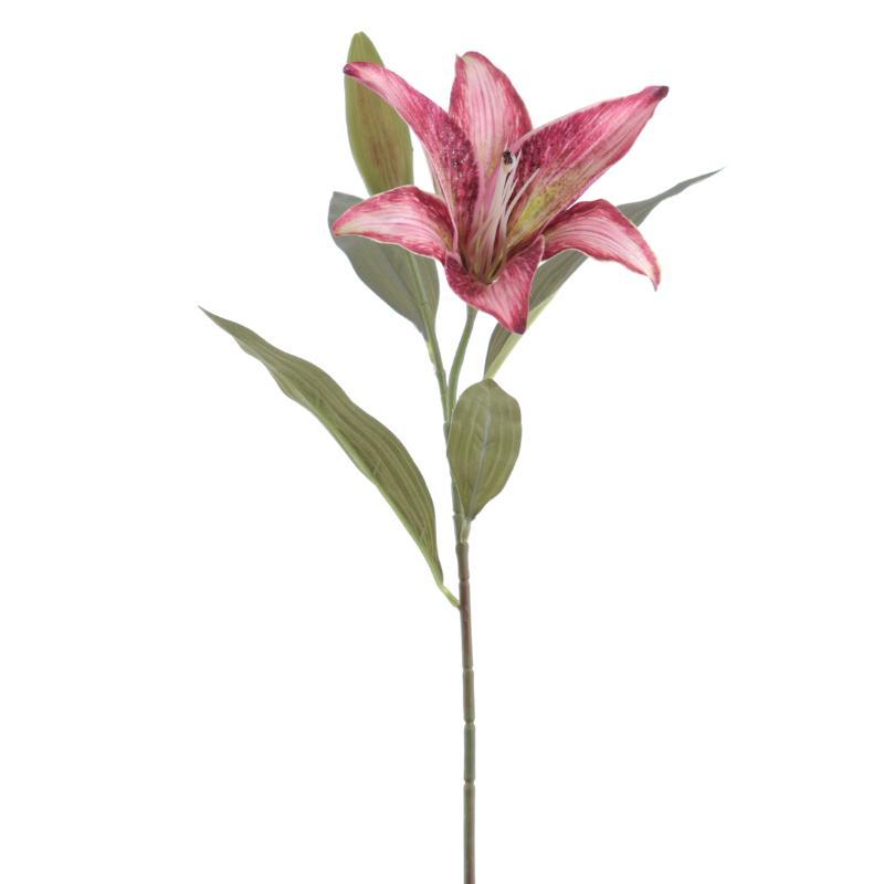 LILIUM GRANATE LILIUM GRANATE