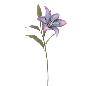 LILIUM AZUL INDIGO