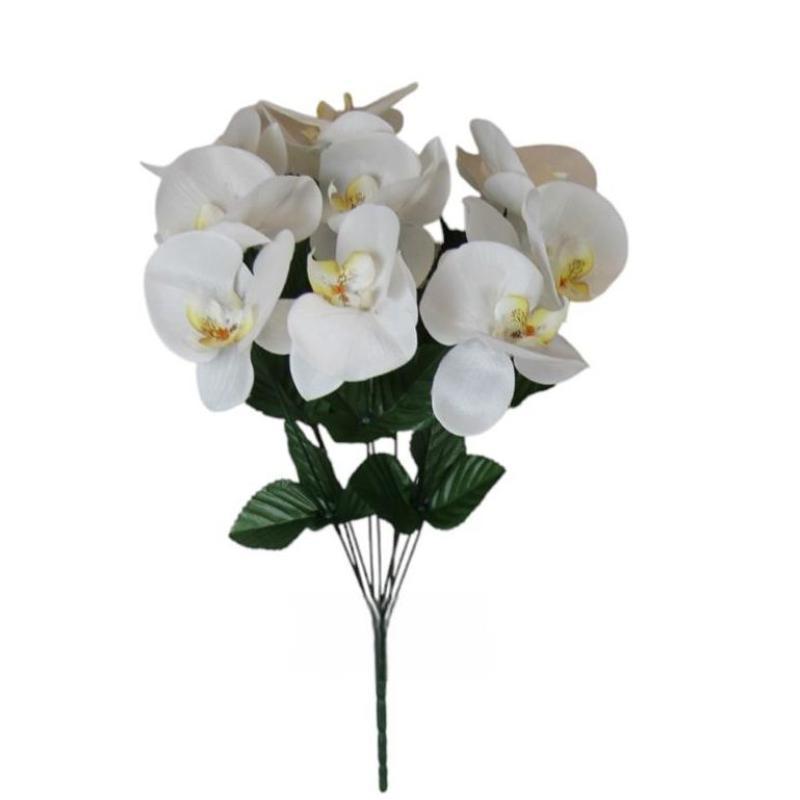 R. CYMBIDIUMS X9 BLANCO