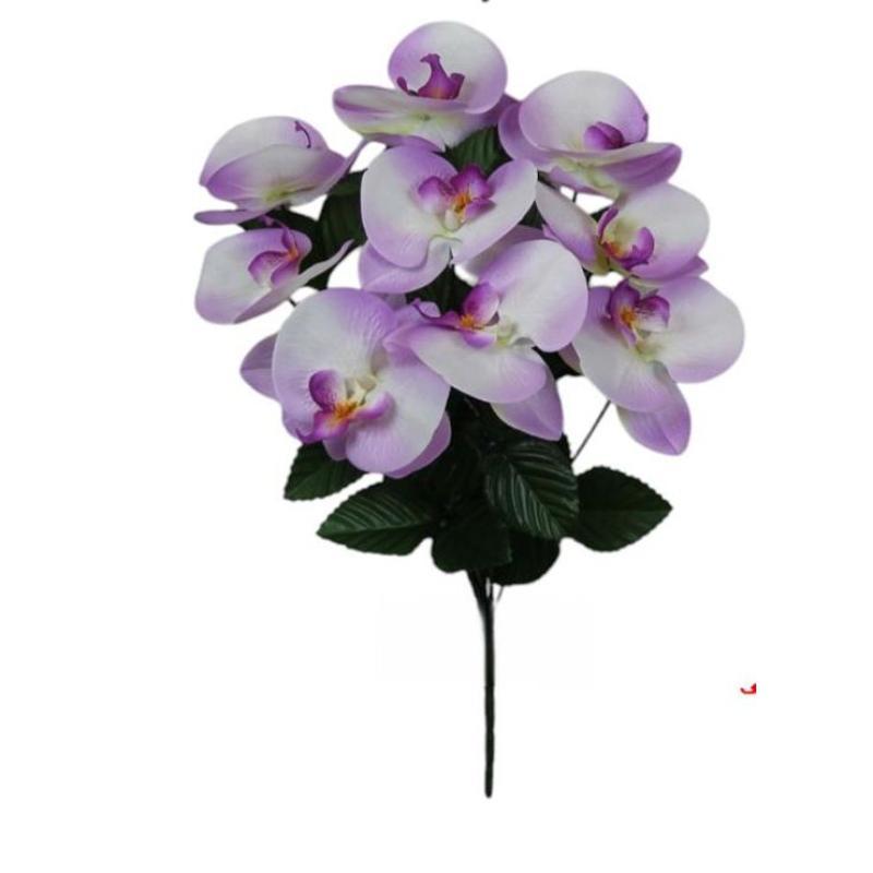 R. CYMBIDIUMS X9 LILA