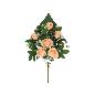 CONJUNTO ROSAS-CAP X9-52 CM TE CONJUNTO ROSAS-CAP X9-52 CM TE