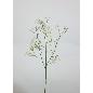GIPSOPFILA X4 62 CM BLANCO