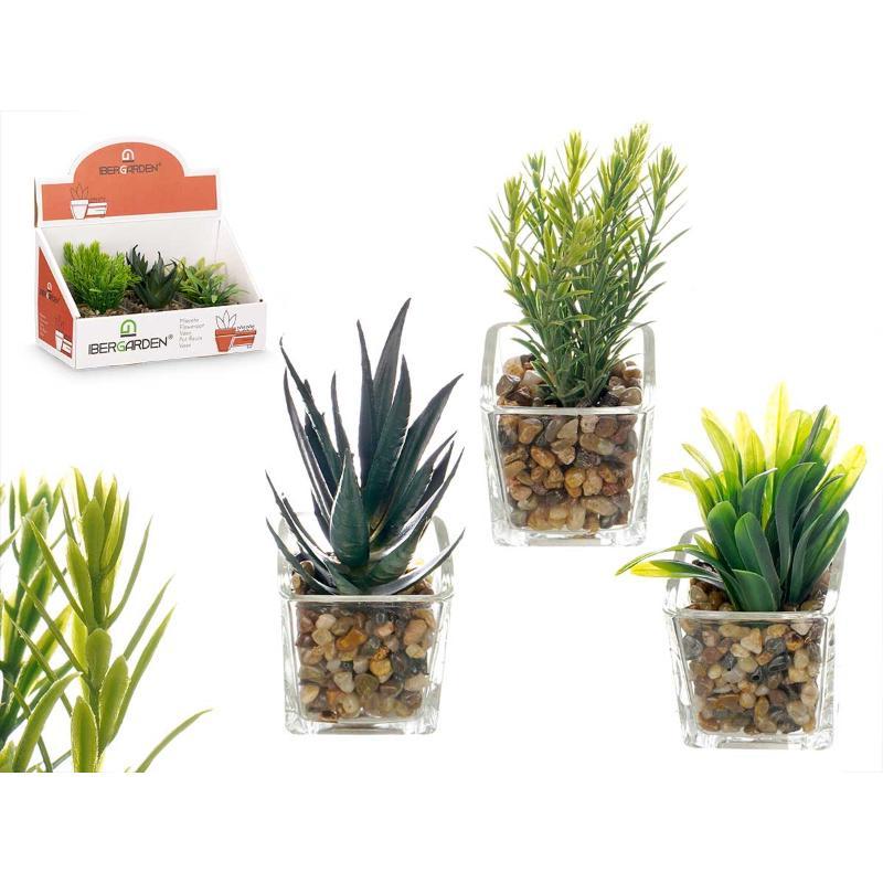 MACETA VIDRIO PLANTA SURT 3