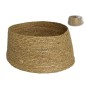 PIE DE PINO NATURAL ALGAR 42X23/52 CM