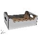 CAJA CARTON PLATA METALIZADA 40.5X29X15 CM