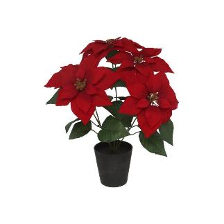 MACETA POINSETTIA X5-54 CM ROJA