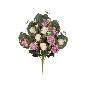 CONJUNTO ROSA-CAPULLO (A) X 11-56 CM VIOLETA