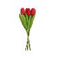 ATADO TULIPANES X6-40 CM ROJO