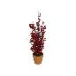 MACETA ARBOL BAYAS RUBY 60 CM