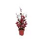 MACETA BAYAS RUBY 34 CM