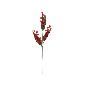 VARA MUERDAGO LISETT 50 CM